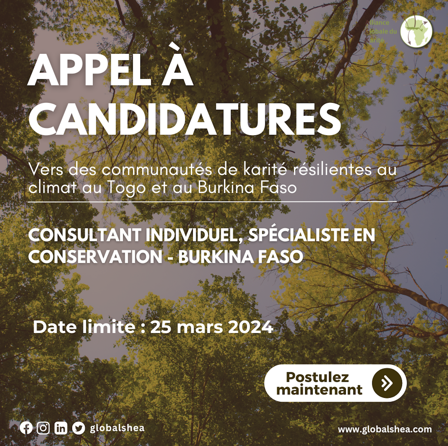 Sélection d’un Consultant individuel, Spécialiste en conservation